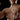 What Is Gear In Bodybuilding?
