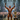 The Bodybuilding Prize That Sparked A Controversy On Stage